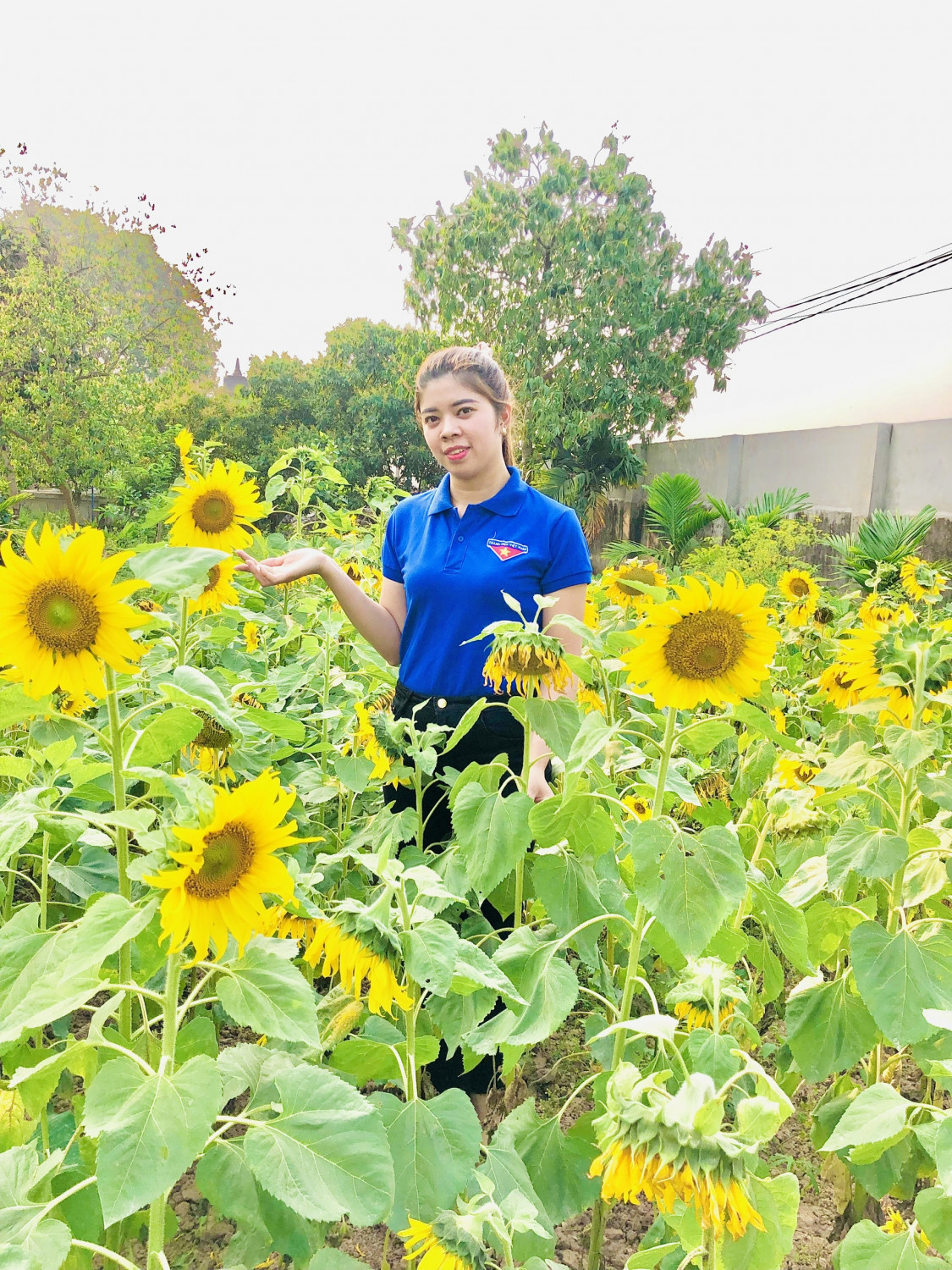 Cô giáo Lê Thị Thoa – Giáo viên,Tổ trưởng chuyên môn, Bí Thư chi đoàn Trường Mầm non Kim Thư